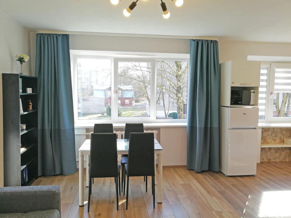 Siauliai Central Apartment @ Traku Street Zewnętrze zdjęcie